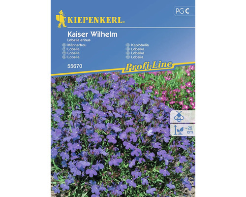 Lobélie Kaiser Wilhelm Kiepenkerl graines fixées graines de fleurs