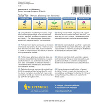 Sachet de graines de physalis alkekengi Giganta