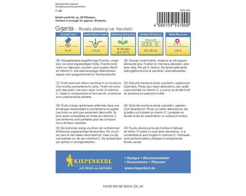 Sachet de graines de physalis alkekengi Giganta