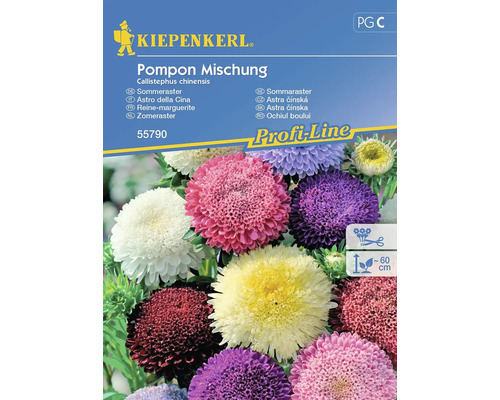 Graines de fleurs Kiepenkerl aster amelle 'Mélange Pompon'