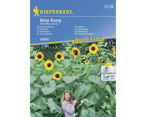 Tournesol Kiepenkerl graines de fleurs
