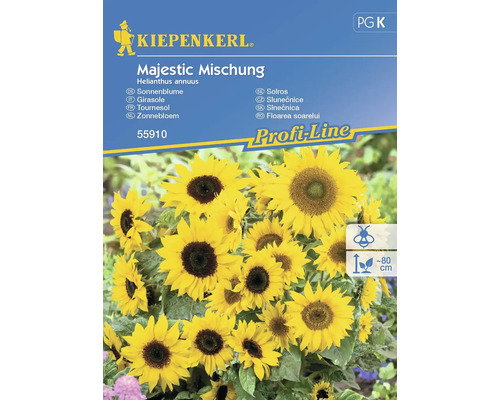 Graines de fleurs Kiepenkerl tournesol 'Mélange majestueux'