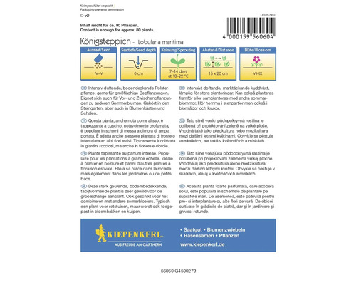 Paquet de graines d''alysses odorantes Lobularia maritima