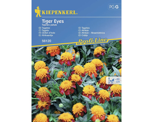 Mélange d'œillets d'Inde à grosses fleurs Kiepenkerl graines de fleurs