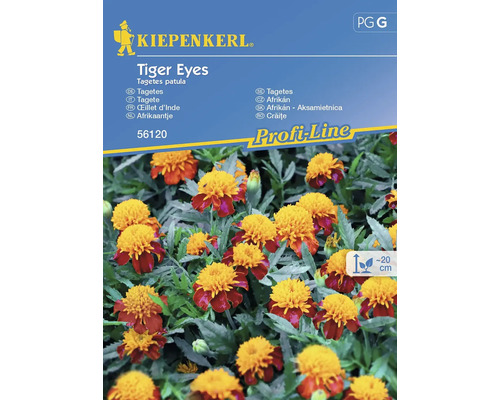 Großblütige Studentenblume Tiger Eyes Kiepenkerl Samenfestes Saatgut Blumensamen Kiepenkerl Tagetes patula Tiger Eyes Samenpackung