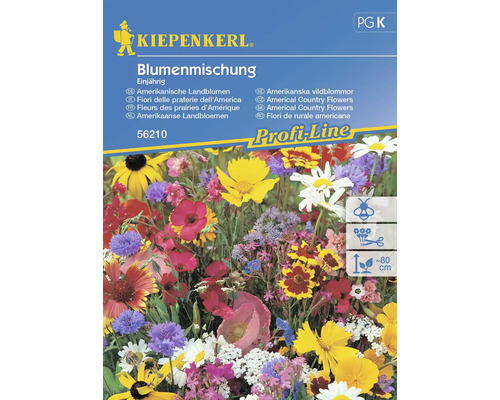 Mélange de fleurs Kiepenkerl 'Fleurs de pays américaines'