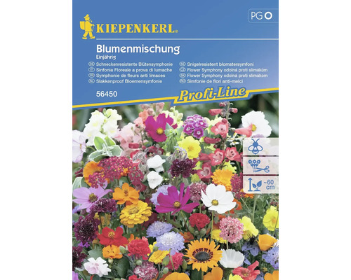 Mélange de fleurs d'été annuelle Kiepenkerl graines de fleurs pour env. 2 m²