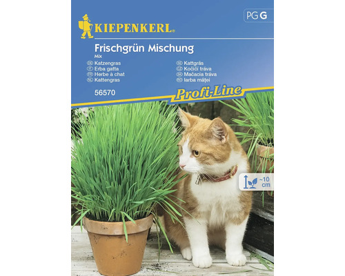 Herbe à chat mélange vert frais Kiepenkerl