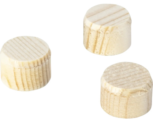 Plaquettes coniques Wolfcraft Ø 15 mm, lot de 50 Trois chevilles en bois pour assemblages de bois