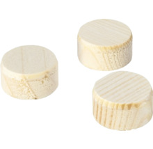 Plaquettes coniques Wolfcraft Ø 20 mm, lot de 40