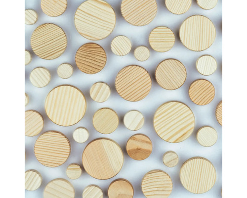 Rondelles en bois de pin de différentes tailles
