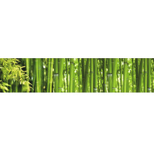 Forêt de bambous avec des feuilles claires