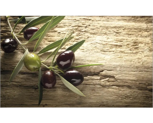 Crédence de cuisine mySpotti Profix Mediterran branche d'olives 100 x 60 cm PX-10060-59-HB