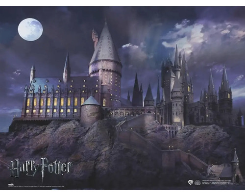 Panneau décoratif Harry Potter 90x60 cm