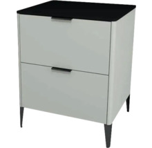 Waschtischunterschrank mit 2 Schubladen Devo Lotos BxHxT 60 x 76 cm x 53 cm Frontfarbe perfect touch stahlgrau