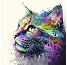 Giclée Leinwandbild Colorfull cat 144 60x60 cm