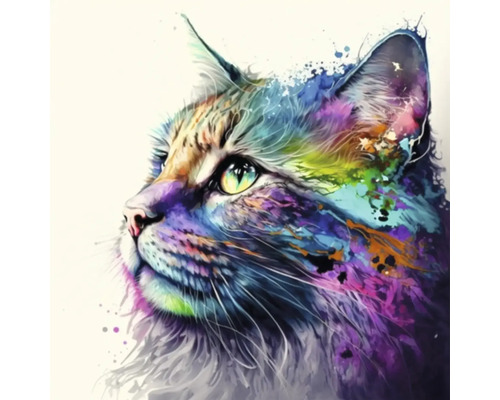 Tableau sur toile Giclée Colorfull cat 144 60x60 cm