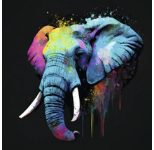 Giclée Leinwandbild Colorfull elephant 137 60x60 cm