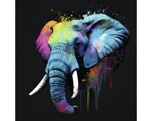 Tableau sur toile Giclée Colorfull elephant 137 60x60 cm