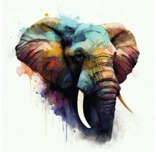 Giclée Leinwandbild Colorfull elephant 139 60x60 cm