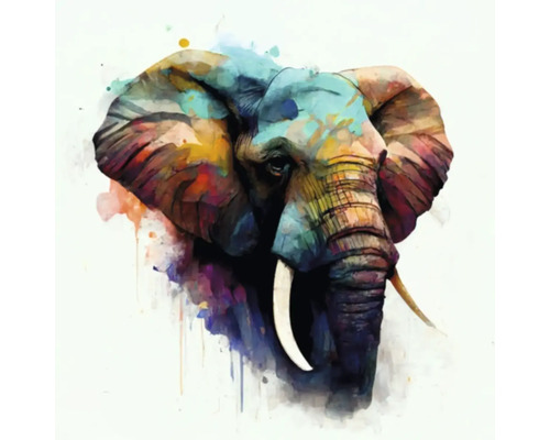 Tableau sur toile Giclée Colorfull elephant 139 60x60 cm