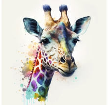 Giclée Leinwandbild Colorfull Giraffe 142 60x60 cm