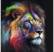 Giclée Leinwandbild Colorfull lion 146 60x60 cm
