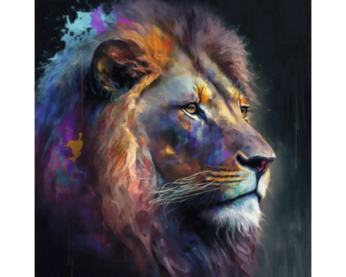 Tableau sur toile Giclée Colorfull lion 147 60x60 cm