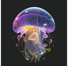 Giclée Leinwandbild Jelly fish 0189 60x60 cm