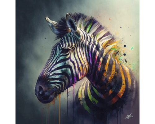 Tableau sur toile Giclée Colorfull zebra 145 60x60 cm