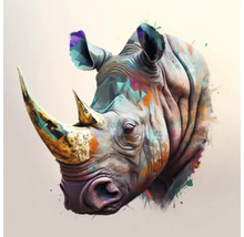 Giclée Leinwandbild Colorfull rhino 141 60x60 cm