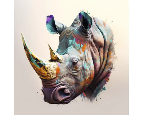 Giclée Leinwandbild Colorfull rhino 141 60x60 cm