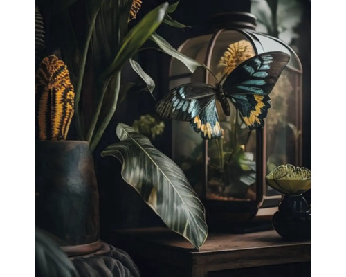 Tableau sur toile Giclée Butterfly 085 60x60 cm