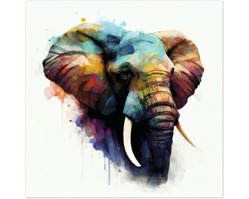 Giclée Leinwandbild Colorfull elephant 139 60x80 cm