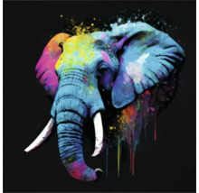 Giclée Leinwandbild Colorfull elephant 137 60x80 cm