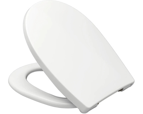 Toilettendeckel aus Kunststoff