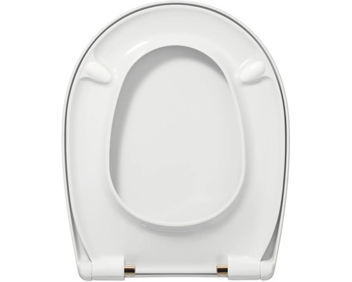 Toilettendeckel aus Kunststoff