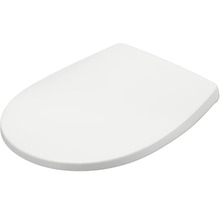 Toilettendeckel