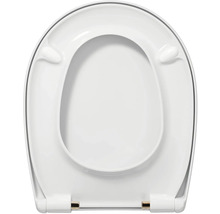 Toilettendeckel aus Kunststoff