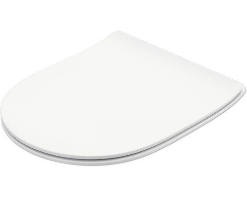 Toilettendeckel aus Kunststoff