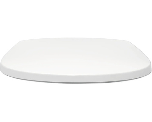 Toilettendeckel aus Kunststoff