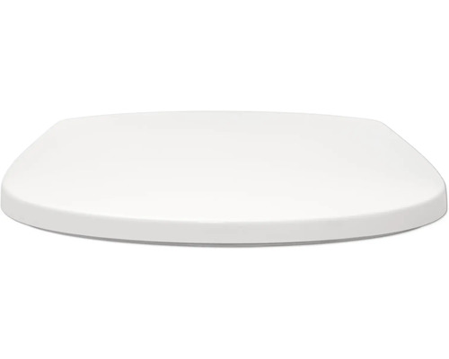 Toilettendeckel aus Kunststoff
