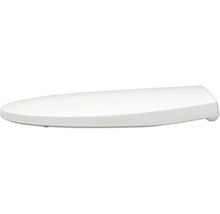 Toilettendeckel