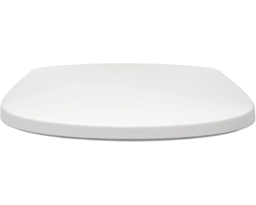 Toilettendeckel aus Kunststoff