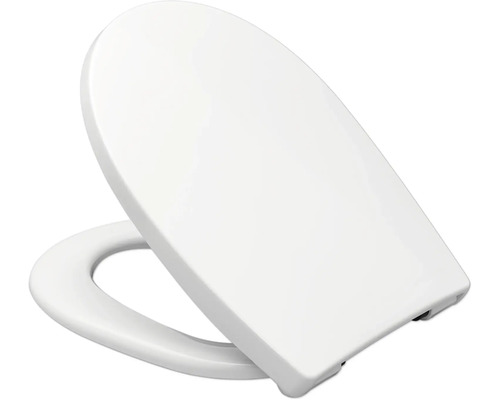 Toilettensitz aus Sanitärkeramik