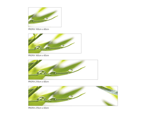 Films décoratifs de différentes tailles avec un motif de feuilles vertes et de gouttes d''eau