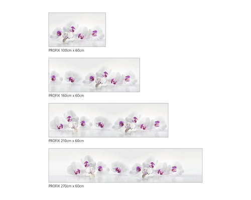 Verschiedene Größen des Profix-Spritzschutzes mit Orchideenmotiven