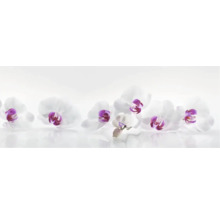 Crédence de cuisine mySpotti Profix Orchidée 160 x 60 cm PX-16060-61-HB