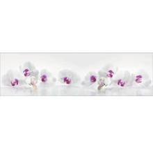 Crédence de cuisine mySpotti Profix Orchidée 210 x 60 cm PX-21060-61-HB