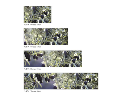 Dekorfolien in vier Größen mit Olivenmotiv